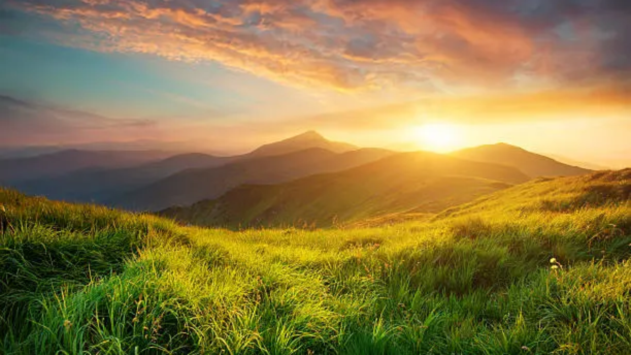 istockphoto-517188688-612x612