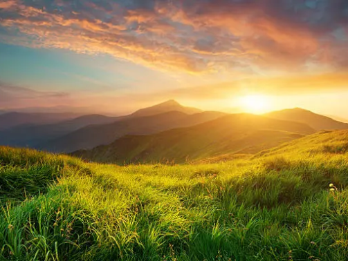 istockphoto-517188688-612x612