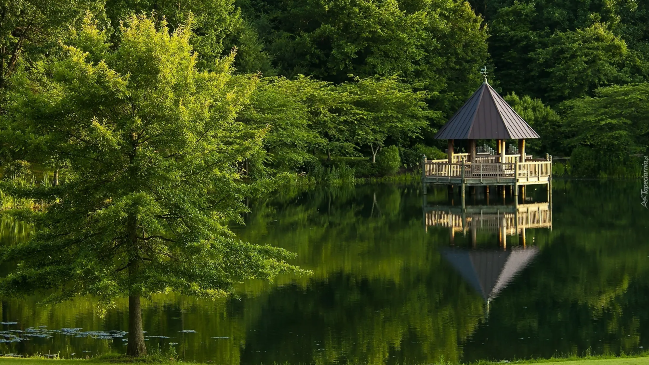 242998_lato_park_staw_altana_odbicie