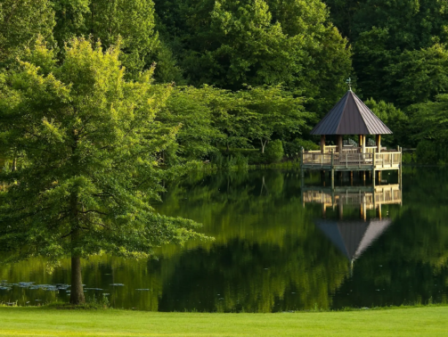 242998_lato_park_staw_altana_odbicie