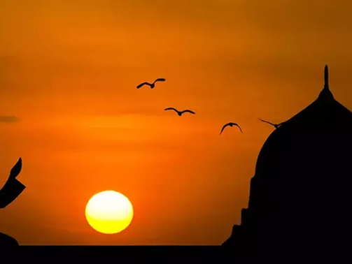 5e95a53b5542830ce8e8276f