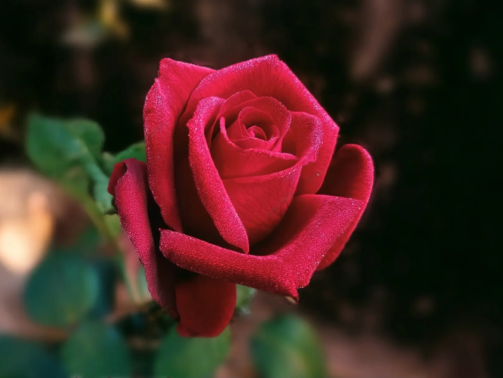 Sende O Güzel-2 (1)