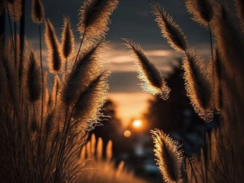 güzelliğin köre ne