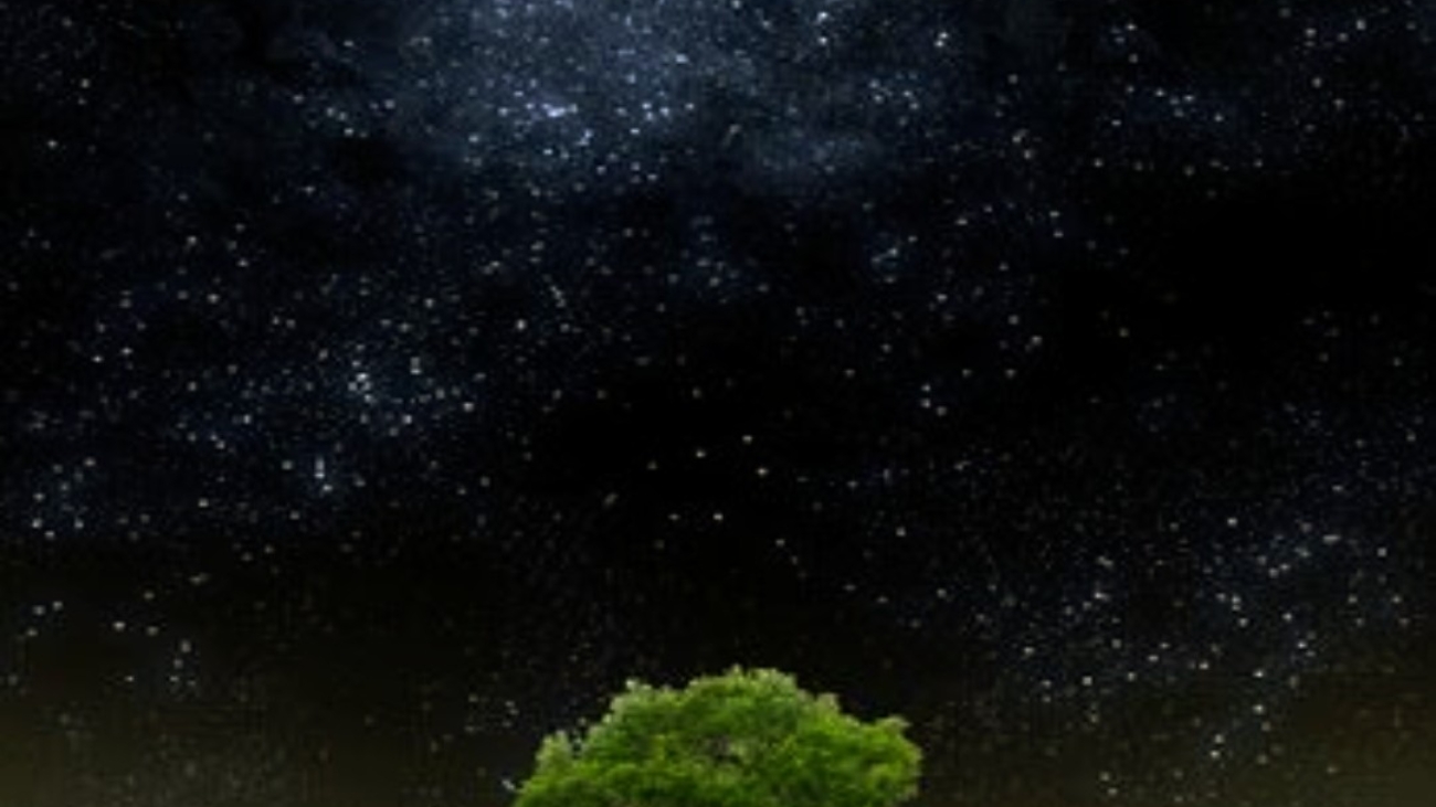 Screenshot_2024-12-21-23-45-42-01_965bbf4d18d205f782c6b8409c5773a4~2