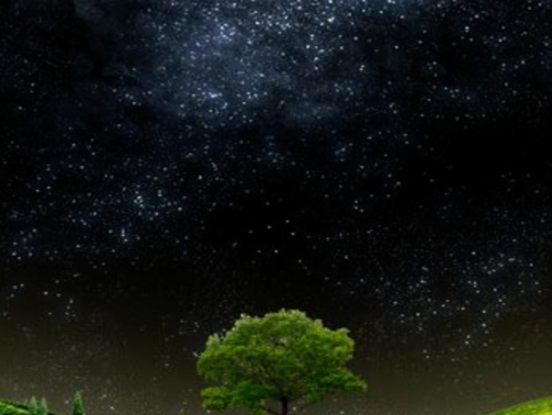 Screenshot_2024-12-21-23-45-42-01_965bbf4d18d205f782c6b8409c5773a4~2